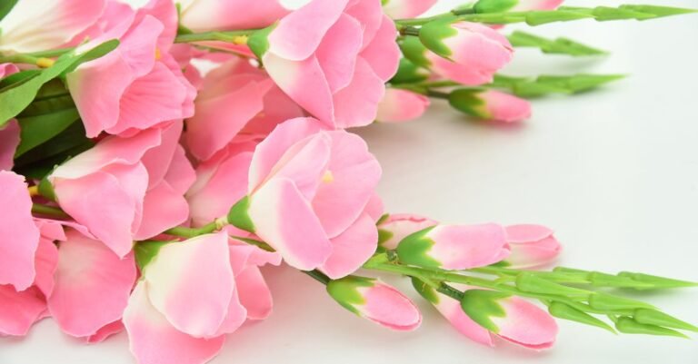 Improve Your Appearance With These Beneficial Beauty Tips